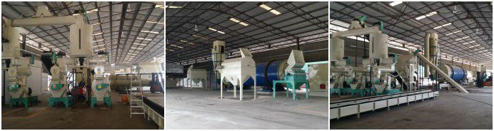 complete wood pellet mill for turnkey pelletizing business plan