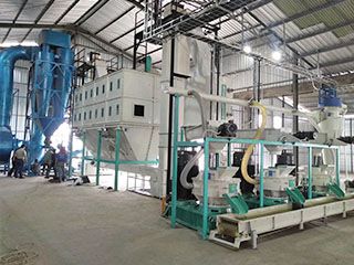 6ton/h Wood Pellet Processing Equipment in Indonesia