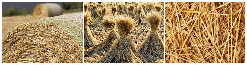 crop straw for making pellets