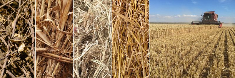 crop straw making pellets