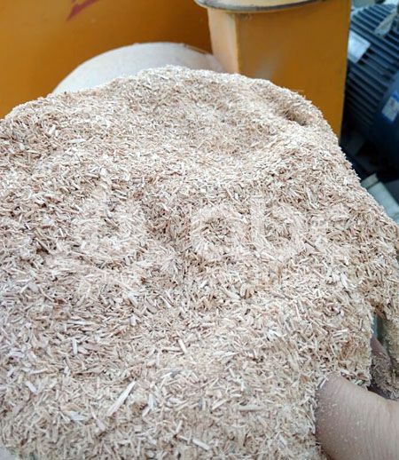 crushed oak sawdust ready for pelletizing process