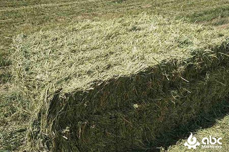 making feed from dry elephant grass