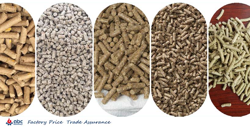 learn different type of trout fish feed pellet for your business