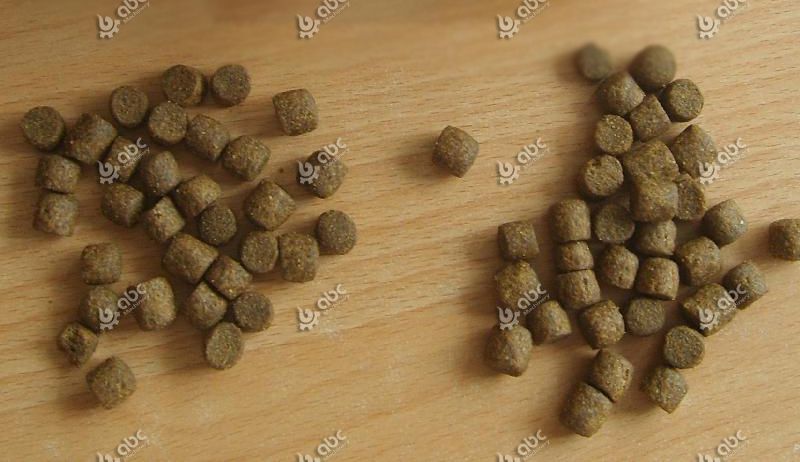 Extrusion Floating Fish Feed Pellet