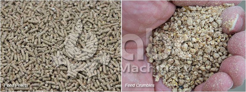 make feed pellets and feed crumbles