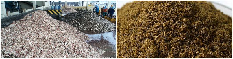 fishmeal production line