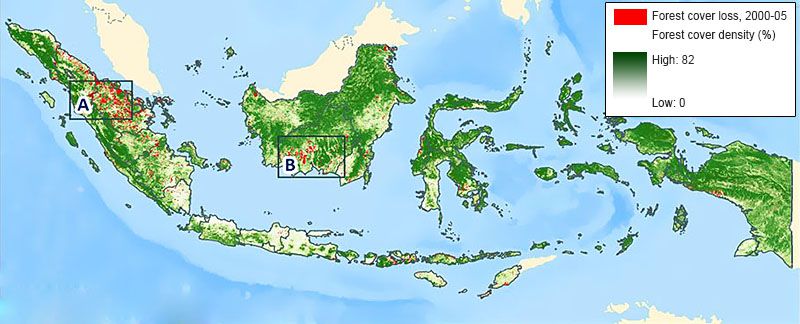 forest cover of Indonesia