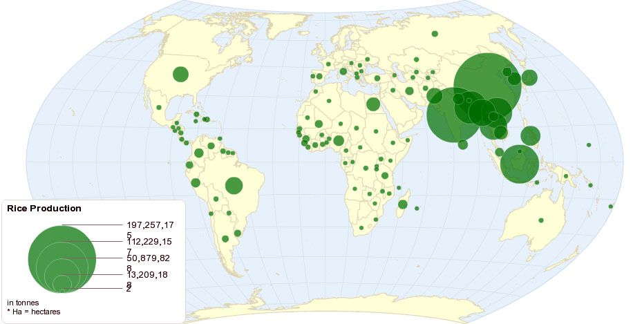 global rice production