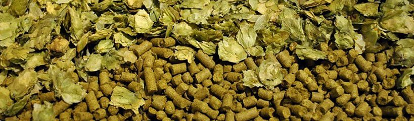 hops pellets to make beer