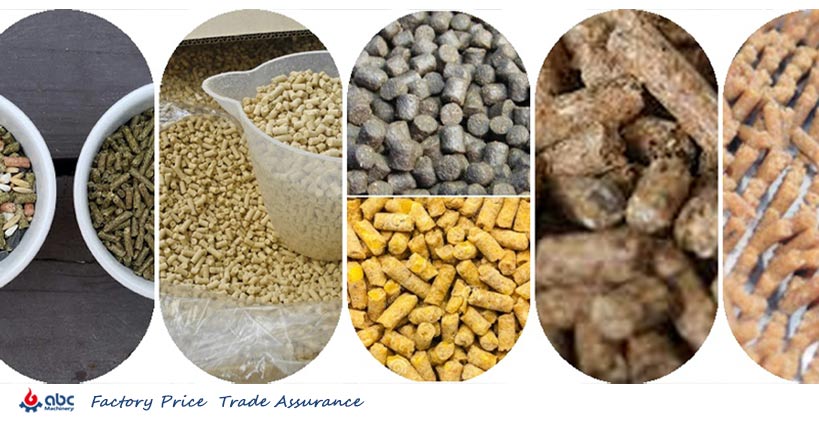 how to select best farmed salmon feed pellet at lowest price 