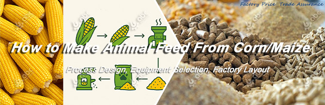 how to make animal feed from corn maize at lowest cost