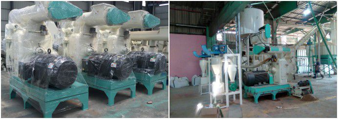 large pellet mill for cotton stalk