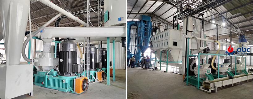large biomass pellet plant cost