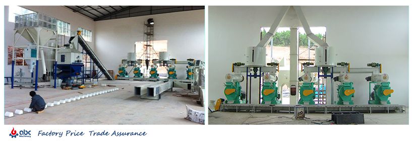 large scale chicken feed prodcution line for invetsmnet