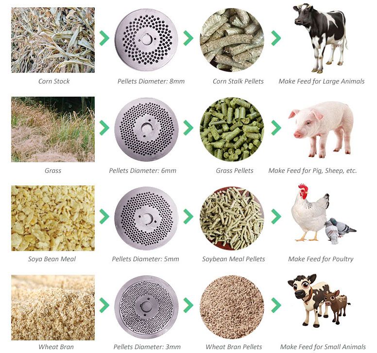 making poultry feed pellets for different animals (poultry and cattle)