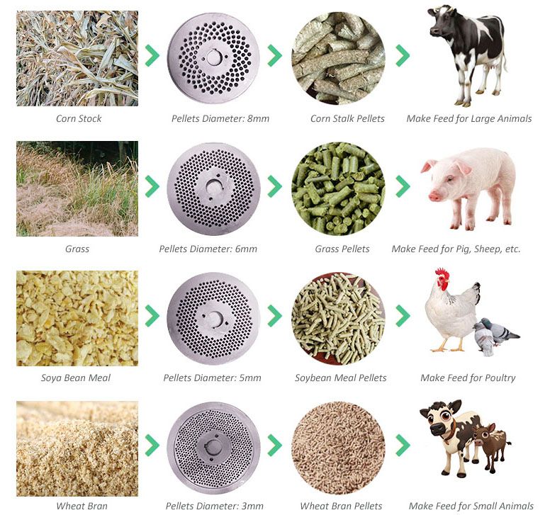 https://www.bestpelletplant.com/uploads/allimg/machine-for-making-poultry-feed-pellets.jpg