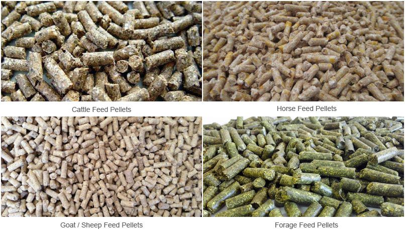 equipment for making livestock feed pellets