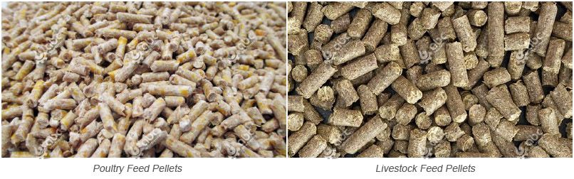 solutions for making poultry and livestock feed pellets