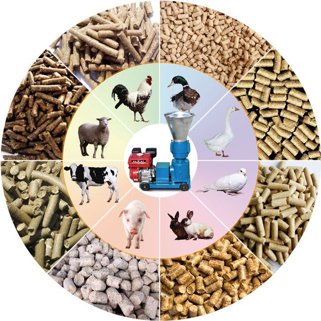 making small scale animal poultry  feed pellets on farm or at home