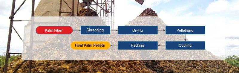 palm fiber pellet plant process for small to medium production line