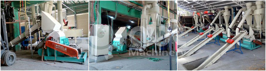 biomass pelletizing plant crushing system for industrial scale business plan