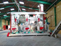 1-4t/h Wood Pellet Plant