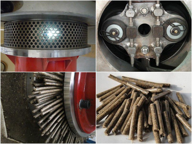pelletizing system of ring die pellet making machine for industrial large scale production