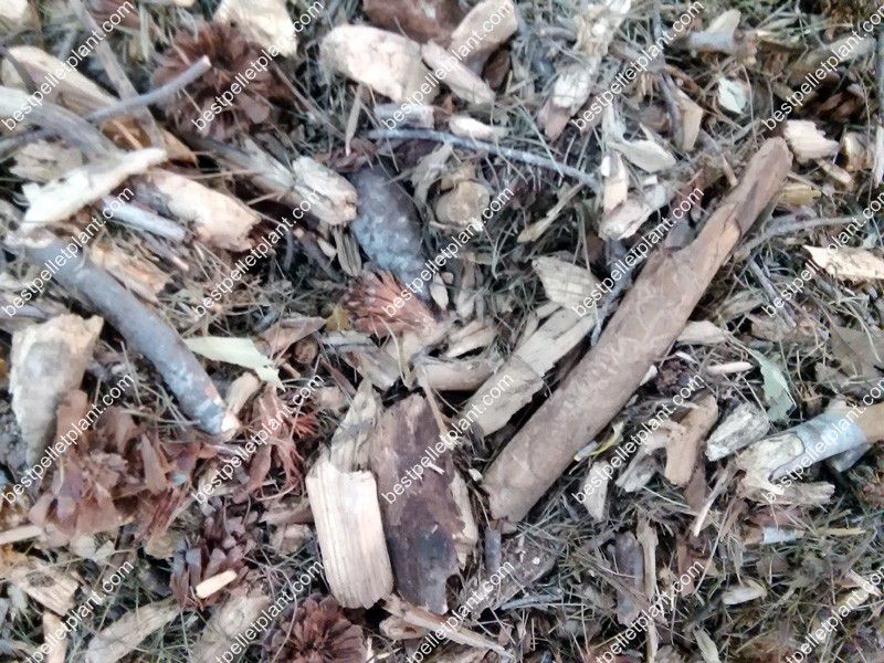pine wood wastes
