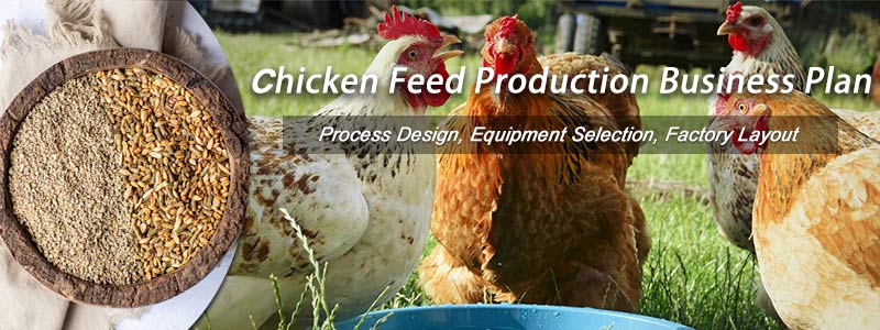 animal poultry chicken feed business plan flow