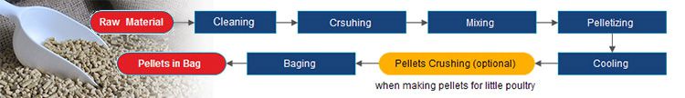 Poultry Feed Pellet Production Process