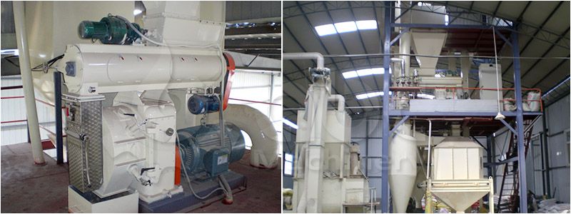 poultry feed pelletizing system for manufacturing large scale fodder pellets