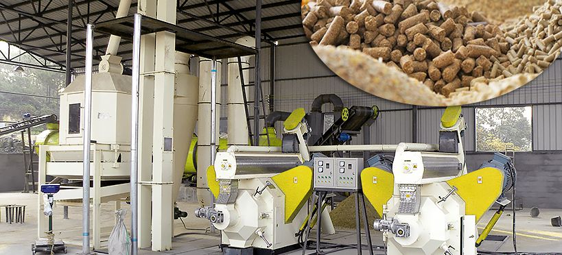Poultry Feed Processing Plant in Uganda