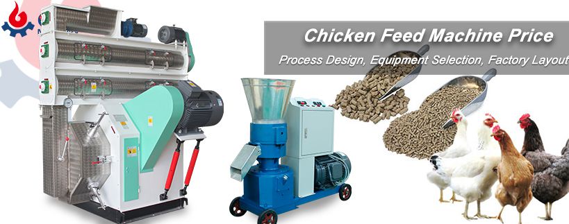 Processing Chicken Feed Pellet