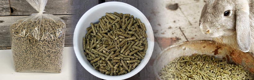 making rabbit food pellets for sale