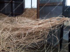 Rattan Pellet Making Plant