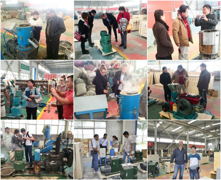 Home Use Straw Fuel Bois Maschin Presse Pelet Mini Pelletizer Maker Press  Sawdust Biomass Wood Pellet Making Mill Machine - China Hand Pellet  Machine, Poultry Feed Pellet Making Machine