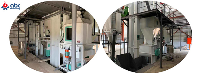 how to select biomass production plant at low cost