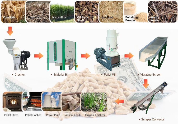 small biomass pellet mill plant for making mini and small scale fuel pellets