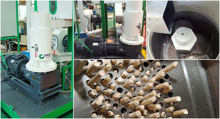 pelletizing part of this complete set of biomass pellet producing plant