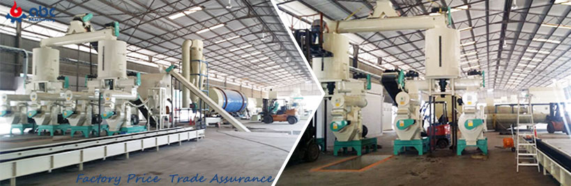 profitable biomass pellet manufacturing line price 
