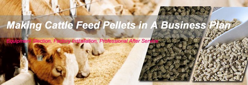 start cattle feed pellet making business 