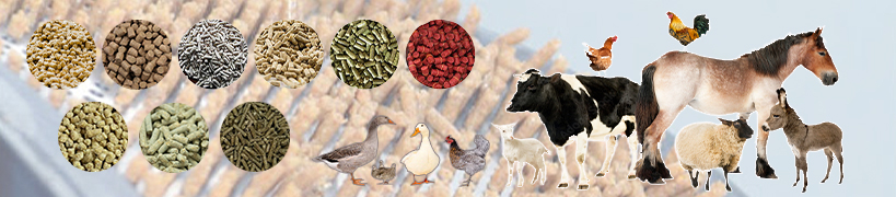 Pelletizing Possibilities: Exploring Animal Feed Potential