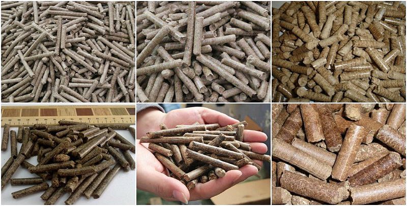 produce small scale production of wood and biomass pellets