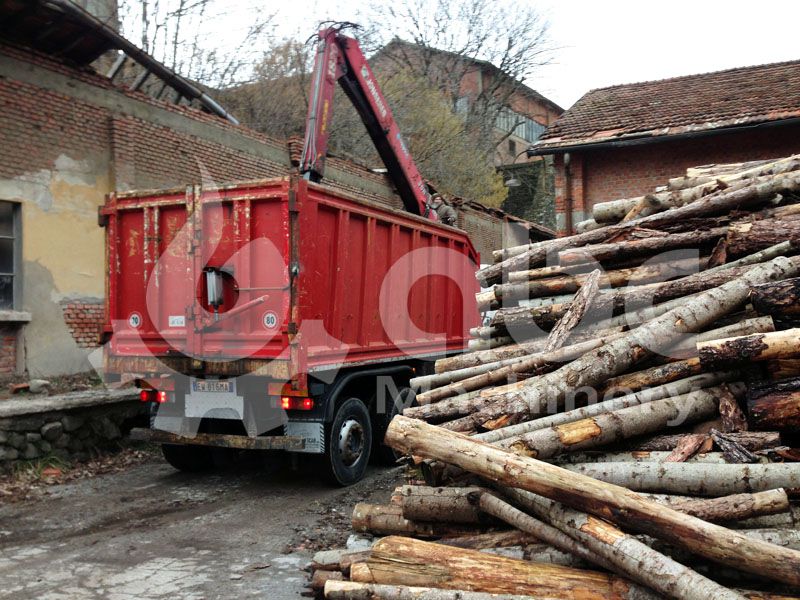 wood log for wood pellets manufacturing production