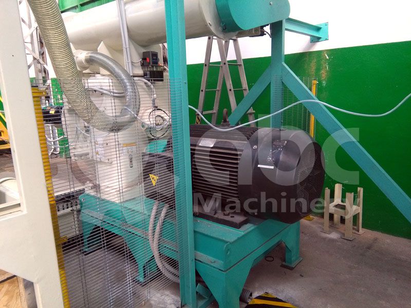 wood pellet manufacturing machine - ring die type pellet mill