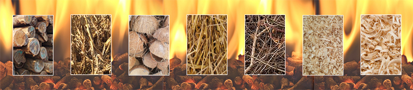 Fire Up Your Life: Advanced Wood Pellet Manufacturing Solutions