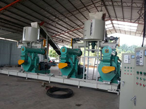 4-5 Ton Per Hour EFB Pellet Plant in Malaysia
