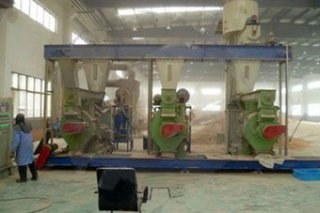 5-6T Automated Wood Pellets Plant