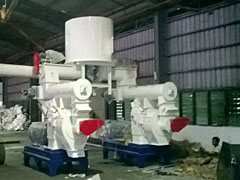 3 Ton Per Hour Wood Chip Pellet Line in Malaysia